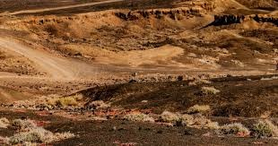 世俱杯夺冠赔率：大巴黎压皇马 欧洲球队揽前4