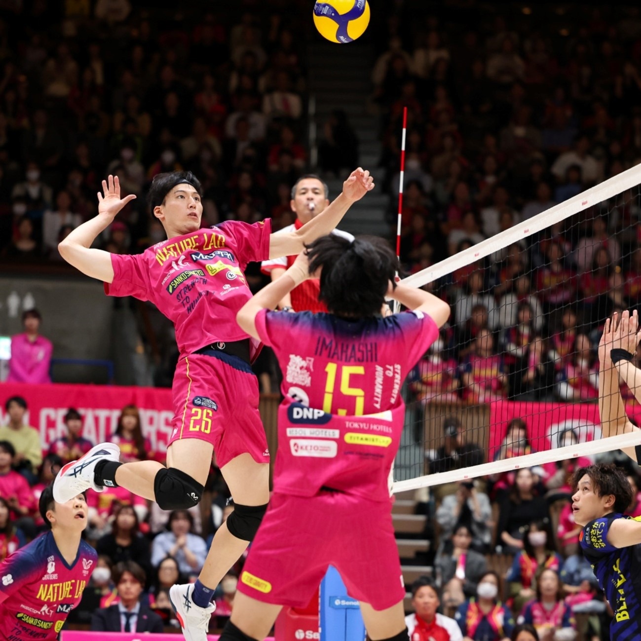 游泳——全国春季锦标赛第五日赛况