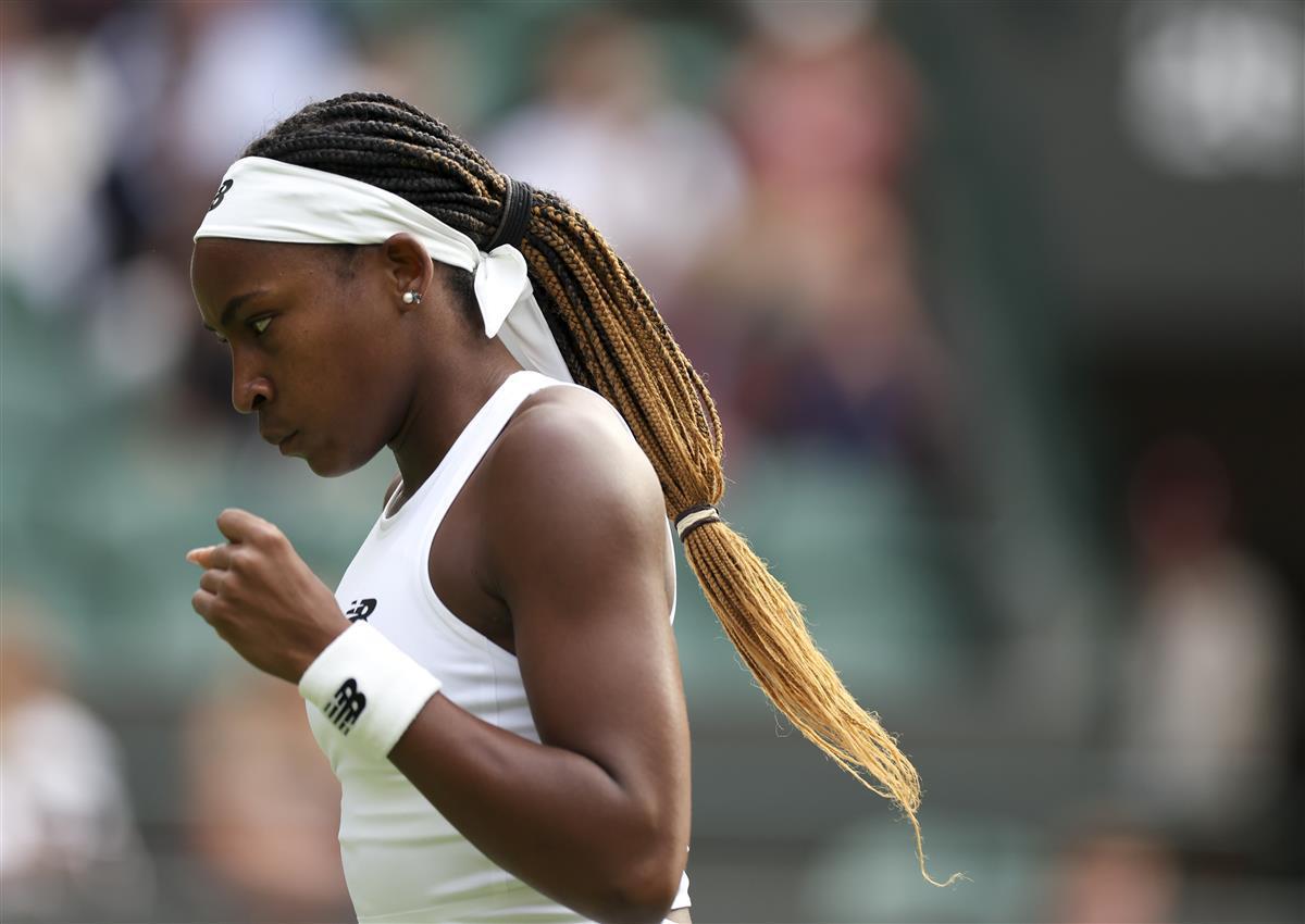 球迷的关注 球迷的关注